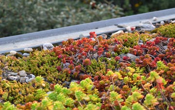 the cost of Whitenap green roof installation