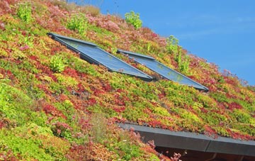 Whitenap living roof systems