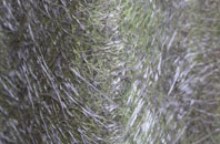 Whitenap fibreglass roof work